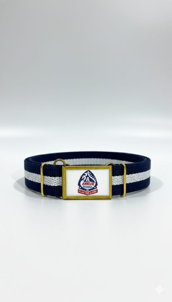 Ankur Belt (S)